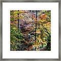 Lost Valley Framed Print