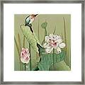 Lotus Flower And Hummingbird Framed Print