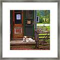 Loudoun Times Framed Print