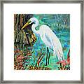 Louisiana Male Egret Framed Print