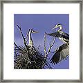 Love At First Sight Framed Print