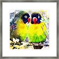 Love Birds2 Framed Print