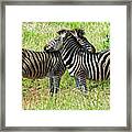 Love-in Framed Print