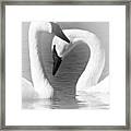 Love In Black And White Framed Print