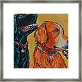 Love Rescue Spay Framed Print