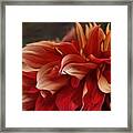 Lovely In Red Framed Print