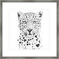 Lovely Leopard Framed Print