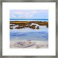 Low Tide - Cape Tribulation - Far North Queensland, Australia Framed Print