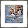 Low Tide Framed Print