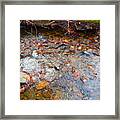 Lower Childs Brook 46 Framed Print