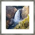 Lower Yellowstone Falls From Inspiration Point Framed Print