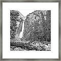 Lower Yosemite Falls In Black And White By Michael Tidwell Framed Print