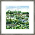 Loxahatchee Marsh 1 Peter 5 Framed Print