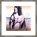 Lusitano Thunder By The Sea Framed Print