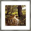 Lyon Valley Creek Framed Print