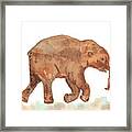 Lyuba The Ice Baby Mammoth Framed Print
