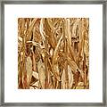 M Landscapes Fall Collection No. Lf59 Framed Print