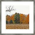 M Landscapes Fall Collection No. Lf60 Framed Print