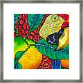 Macaw Close Up - Exotic Bird Framed Print