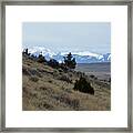 Madison Buffalo Jump State Park In Spring Framed Print