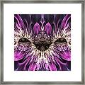 Magenta Until Framed Print