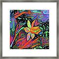Magic Garden Daffodil Framed Print