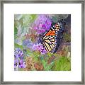 Magical Monarch Butterfly Framed Print