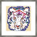 Magnificent Tiger Framed Print
