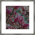 Magnolia Beauty Framed Print