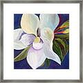 Magnolia Painting Framed Print
