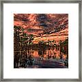 Majestic Cypress Paradise Sunset Framed Print