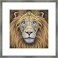 The Lion's Mane Attraction Framed Print