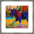 Majestic Monarch - Moose Framed Print