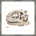 Majungasaur Skull Framed Print