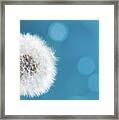 Make A Wish Framed Print