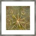 Make A Wish Framed Print