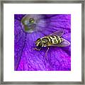 Make Sure All Is Clean Framed Print