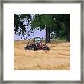 Making Hay Framed Print