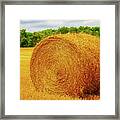 Making Hay Framed Print