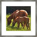 Mama And Baby Framed Print