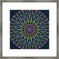 Mandala 2 Framed Print