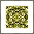 Mandala - Pattern 18 Framed Print