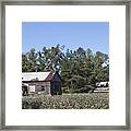 Manning Cotton Field With Barns Framed Print