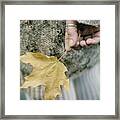 Maple Leaf. Prickle Tenderness Framed Print
