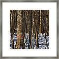 Maple Sirup Hdr No1 Framed Print