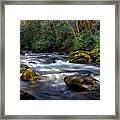 March Along The River Framed Print