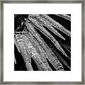 March Icicles 3 Framed Print
