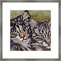 Mariah's Kitties Framed Print