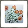 Marigolds Adorned With A Beautiful Butterfly Framed Print