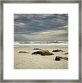 Marineland Florida Beach Framed Print